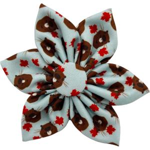 image:imageHuxley amp Kent Pet Pinwheel Bow for Dogs amp Cats  Thanksgiving Fall Adjustable Hook amp Loop Collar Accessory  Cute amp Comfortable for Holidays amp Celebrations  What Me Worry Turkey LargeTossed Beaver with Leaf