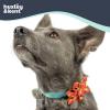 image:imageHuxley amp Kent Pet Pinwheel Bow for Dogs amp Cats  Holiday Adjustable Hook amp Loop Collar Accessory  Cute amp Comfortable for Holidays amp Celebrations  Peppermint Stripe SmallHappy GMan