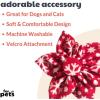 image:imageHuxley amp Kent Pet Pinwheel Bow for Dogs amp Cats  Holiday Adjustable Hook amp Loop Collar Accessory  Cute amp Comfortable for Holidays amp Celebrations  Peppermint Stripe SmallSnowflake