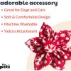image:imageHuxley amp Kent Pet Pinwheel Bow for Dogs amp Cats  Holiday Adjustable Hook amp Loop Collar Accessory  Cute amp Comfortable for Holidays amp Celebrations  Peppermint Stripe SmallSnowflake