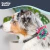 image:imageHuxley amp Kent Pet Pinwheel Bow for Dogs amp Cats  Holiday Adjustable Hook amp Loop Collar Accessory  Cute amp Comfortable for Holidays amp Celebrations  Peppermint Stripe SmallUgly Sweater