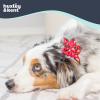 image:imageHuxley amp Kent Pet Pinwheel Bow for Dogs amp Cats  Holiday Adjustable Hook amp Loop Collar Accessory  Cute amp Comfortable for Holidays amp Celebrations  Peppermint Stripe SmallChristmas Trees