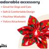 image:imageHuxley amp Kent Pet Pinwheel Bow for Dogs amp Cats  Holiday Adjustable Hook amp Loop Collar Accessory  Cute amp Comfortable for Holidays amp Celebrations  Peppermint Stripe SmallChristmas Trees