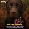 image:imageHuxley amp Kent Pet Pinwheel Bow for Dogs amp Cats  Holiday Adjustable Hook amp Loop Collar Accessory  Cute amp Comfortable for Holidays amp Celebrations  Peppermint Stripe SmallPeppermint Stripe