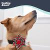 image:imageHuxley amp Kent Pet Pinwheel Bow for Dogs amp Cats  Holiday Adjustable Hook amp Loop Collar Accessory  Cute amp Comfortable for Holidays amp Celebrations  Peppermint Stripe SmallPeppermint Stripe