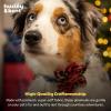 image:imageHuxley amp Kent Pet Pinwheel Bow for Dogs amp Cats  Holiday Adjustable Hook amp Loop Collar Accessory  Cute amp Comfortable for Holidays amp Celebrations  Peppermint Stripe SmallRoyal Tartan