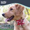 image:imageHuxley amp Kent Pet Pinwheel Bow for Dogs amp Cats  Holiday Adjustable Hook amp Loop Collar Accessory  Cute amp Comfortable for Holidays amp Celebrations  Peppermint Stripe SmallMerry Llamas