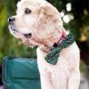 image:imageHuxley amp Kent Dog Bundle  Small Football Bone amp Small Football Bowtie  Plush Dog Toy and Hook amp Loop Collar Attachment