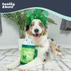 image:imageHuxley amp Kent Funny Dog Toy wSqueaker  St Patricks Day Power Plush Squeaky Dog Toys for Small Medium amp Large Dogs  Soft Stuffed Animal for Indoor Play amp Fetch  Shamrock Donut LargeLarge