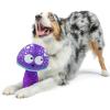 image:imageHuxley amp Kent Slappies for Dogs  Beary Styles Large  Squeak amp Shake Dog Toy  No Stuff Squeaky Toy TPR Ball in Head  Simulates Hunting Nature for DogsLarge