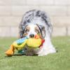 image:imageHuxley amp Kent Slappies for Dogs  Beary Styles Large  Squeak amp Shake Dog Toy  No Stuff Squeaky Toy TPR Ball in Head  Simulates Hunting Nature for DogsSmall