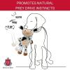 image:imageHuxley amp Kent Slappies for Dogs  Beary Styles Small  Squeak amp Shake Dog Toy  No Stuff Squeaky Toy TPR Ball in Head  Simulates Hunting Nature for DogsLarge