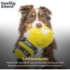 image:imageHuxley amp Kent Slappies for Dogs  Beary Styles Small  Squeak amp Shake Dog Toy  No Stuff Squeaky Toy TPR Ball in Head  Simulates Hunting Nature for DogsSmall