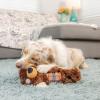 image:imageHuxley amp Kent Slappies for Dogs  Beary Styles Small  Squeak amp Shake Dog Toy  No Stuff Squeaky Toy TPR Ball in Head  Simulates Hunting Nature for DogsSmall