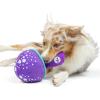 image:imageHuxley amp Kent Slappies for Dogs  Beary Styles Small  Squeak amp Shake Dog Toy  No Stuff Squeaky Toy TPR Ball in Head  Simulates Hunting Nature for DogsSmall