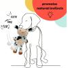 image:imageHuxley amp Kent Slappies for Dogs  Beary Styles Small  Squeak amp Shake Dog Toy  No Stuff Squeaky Toy TPR Ball in Head  Simulates Hunting Nature for DogsSmall