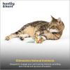 image:imageHuxley amp Kent Flinger Plush Cat Toy  Interactive Catnip Toy for Cats amp Kittens  Soft with Crinkle amp Catnip  Perfect for Flinging amp Chasing  Bumble Bee FlingerFlower Flinger