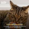 image:imageHuxley amp Kent Flinger Plush Cat Toy  Interactive Catnip Toy for Cats amp Kittens  Soft with Crinkle amp Catnip  Perfect for Flinging amp Chasing  Bumble Bee FlingerFlower Flinger