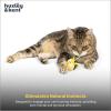image:imageHuxley amp Kent Flinger Plush Cat Toy  Interactive Catnip Toy for Cats amp Kittens  Soft with Crinkle amp Catnip  Perfect for Flinging amp Chasing  Bumble Bee FlingerBumble Bee Flinger