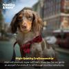 image:imageHuxley amp Kent Pet Bow Tie for Dogs amp Cats  Fall Holiday Adjustable Hook amp Loop Collar Accessory  Cute amp Comfortable for Holidays amp Celebrations  Buffalo Check Large