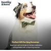 image:imageHuxley amp Kent Pet Bow Tie for Dogs amp Cats  Fall Holiday Adjustable Hook amp Loop Collar Accessory  Cute amp Comfortable for Holidays amp Celebrations  Buffalo Check SmallHo Ho Ho