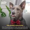 image:imageHuxley amp Kent Pet Bow Tie for Dogs amp Cats  Holiday Adjustable Hook amp Loop Collar Accessory  Cute amp Comfortable for Holidays amp Celebrations  Christmas Plaid LargeChristmas Trees