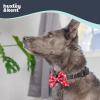 image:imageHuxley amp Kent Pet Bow Tie for Dogs amp Cats  Holiday Adjustable Hook amp Loop Collar Accessory  Cute amp Comfortable for Holidays amp Celebrations  Ho Ho Ho ExtraLargeChristmas Trees