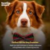 image:imageHuxley amp Kent Pet Bow Tie for Dogs amp Cats  Holiday Adjustable Hook amp Loop Collar Accessory  Cute amp Comfortable for Holidays amp Celebrations  Christmas Trees LargeUgly Sweater
