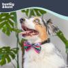 image:imageHuxley amp Kent Pet Bow Tie for Dogs amp Cats  Holiday Adjustable Hook amp Loop Collar Accessory  Cute amp Comfortable for Holidays amp Celebrations  Christmas Plaid LargeUgly Sweater