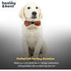 image:imageHuxley amp Kent Pet Bow Tie for Dogs amp Cats  Holiday Adjustable Hook amp Loop Collar Accessory  Cute amp Comfortable for Holidays amp Celebrations  Christmas Plaid LargeChristmas Plaid