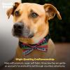 image:imageHuxley amp Kent Pet Bow Tie for Dogs amp Cats  Holiday Adjustable Hook amp Loop Collar Accessory  Cute amp Comfortable for Holidays amp Celebrations  Ho Ho Ho ExtraLargeUgly Sweater