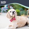 image:imageHuxley amp Kent Pet Bow Tie for Dogs amp Cats  Holiday Adjustable Hook amp Loop Collar Accessory  Cute amp Comfortable for Holidays amp Celebrations  Ho Ho Ho ExtraLargeSnowflake