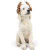 image:imageHuxley amp Kent Pet Hat for Dogs amp Cats  Cute Easter Costume Hat with SnugFit Adjustable Straps  Soft Cap for Spring Photos amp Parties  Bunny Ears SmallTurkey Tester