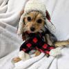 image:imageHuxley amp Kent Pet Hat for Dogs amp Cats  Cute Easter Costume Hat with SnugFit Adjustable Straps  Soft Cap for Spring Photos amp Parties  Bunny Ears SmallCheckered