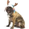 image:imageHuxley amp Kent Pet Hat for Dogs amp Cats  Cute Easter Costume Hat with SnugFit Adjustable Straps  Soft Cap for Spring Photos amp Parties  Bunny Ears SmallUgly Sweater Antler