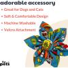 image:imageHuxley amp Kent Pet Pinwheel  Cinco Fiesta Small  Collar Accessory for DogsCats  Fun Pet Pinwheel Collar Attachment  Cute Comfortable Pet Accessory  HampK Pinwheel for PetsSmall