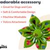 image:imageHuxley amp Kent Pet Pinwheel  Cool Breezes Small  Spring Bow Collar Attachment  Fun Collar Accessory for Dogs amp Cats  Cute Comfortable and Durable  HampKGarden Party