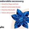 image:imageHuxley amp Kent Pet Pinwheel  Cool Breezes Small  Spring Bow Collar Attachment  Fun Collar Accessory for Dogs amp Cats  Cute Comfortable and Durable  HampKOctopus Garden
