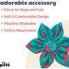 image:imageHuxley amp Kent Pet Pinwheel  Happy Avocados Small  Spring Bow Collar Attachment  Fun Collar Accessory for Dogs amp Cats  Cute Comfortable and Durable  HampKFlamingo