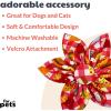 image:imageHuxley amp Kent Pet Pinwheel  Happy Avocados Small  Spring Bow Collar Attachment  Fun Collar Accessory for Dogs amp Cats  Cute Comfortable and Durable  HampKFast Food Frenzy
