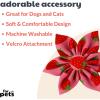 image:imageHuxley amp Kent Pet Pinwheel  Summertime Check Small  Spring Bow Collar Attachment  Fun Collar Accessory for Dogs amp Cats  Cute Comfortable and Durable  HampKStrawberry