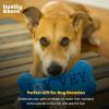 image:imageHuxley amp Kent for Dogs  Joy Vey Bone  Hanukkah Dog Toy with Squeaker  Funny Dog Toy Gift  Fun Durable and Safe  HampK Squeaky DogJoy Vey Bone