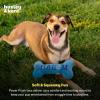 image:imageHuxley amp Kent for Dogs  Joy Vey Bone  Hanukkah Dog Toy with Squeaker  Funny Dog Toy Gift  Fun Durable and Safe  HampK Squeaky DogJoy Vey Bone