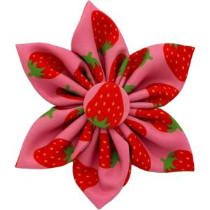 image:imageHuxley amp Kent Pet Pinwheel  Tutti Fruity Small  Spring Bow Collar Attachment  Fun Collar Accessory for Dogs amp Cats  Cute Comfortable and Durable  HampKStrawberry