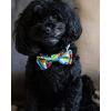 image:imageHuxley amp Kent Pet Bundle  Large Blue Crown amp Blue Party Time Bowtie  Pet Hat amp Bowtie Accessories  Birthday