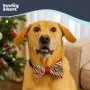 image:imageHuxley amp Kent Pet Bow Tie for Dogs amp Cats  Holiday Adjustable Hook amp Loop Collar Accessory  Cute amp Comfortable for Holidays amp Celebrations  Happy GMan LargePeppermint Stripe