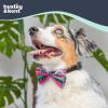 image:imageHuxley amp Kent Pet Bow Tie for Dogs amp Cats  Holiday Adjustable Hook amp Loop Collar Accessory  Cute amp Comfortable for Holidays amp Celebrations  Happy GMan LargeUgly Sweater