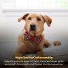 image:imageHuxley amp Kent Pet Bow Tie for Dogs amp Cats  Holiday Adjustable Hook amp Loop Collar Accessory  Cute amp Comfortable for Holidays amp Celebrations  Happy GMan LargePeppermint Stripe