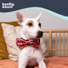 image:imageHuxley amp Kent Pet Bow Tie for Dogs amp Cats  Holiday Adjustable Hook amp Loop Collar Accessory  Cute amp Comfortable for Holidays amp Celebrations  Merry Llamas LargeMerry Llamas