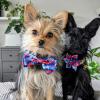 image:imageHuxley amp Kent Pet Bow Tie for Dogs amp Cats  4th of July Adjustable Hook amp Loop Collar Accessory  Cute amp Comfortable for Holidays amp Celebrations  Liberty SmallAmerican Tie Dye